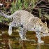 Viaggio di Nozze: Luna di Miele in Sud Africa