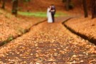 Matrimonio nella natura: la collezione terra di Wed Couture