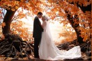Matrimonio country: consigli per l’autunno