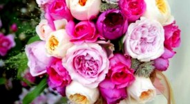 bouquet rose colorate