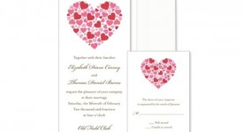 addio nubilato, partecipazioni 2012