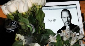 steve jobs rose bianche