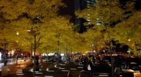 matrimonio a zuccotti park