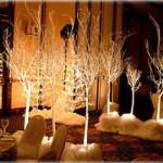 decorazioni matrimonio inverno