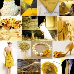 matrimonio in giallo
