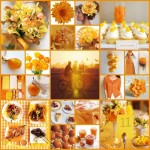 matrimonio in giallo