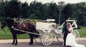 nozze romantiche carrozza
