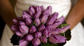 bouquet sposa tulipani