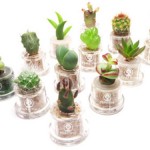 MATRIMONIO ECO-FRIENDLY