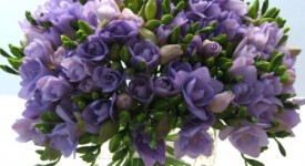 bouquet nozze e fiori