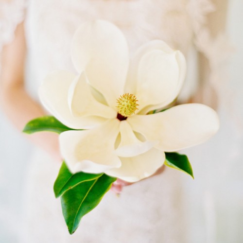 bouquet nozze e fiori