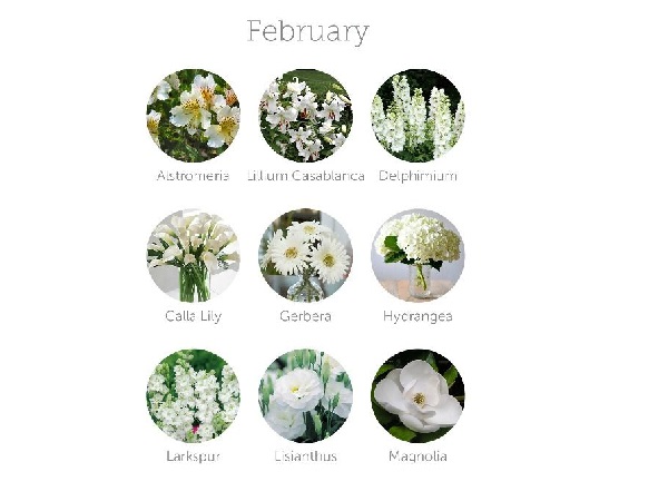 febbraio fiori