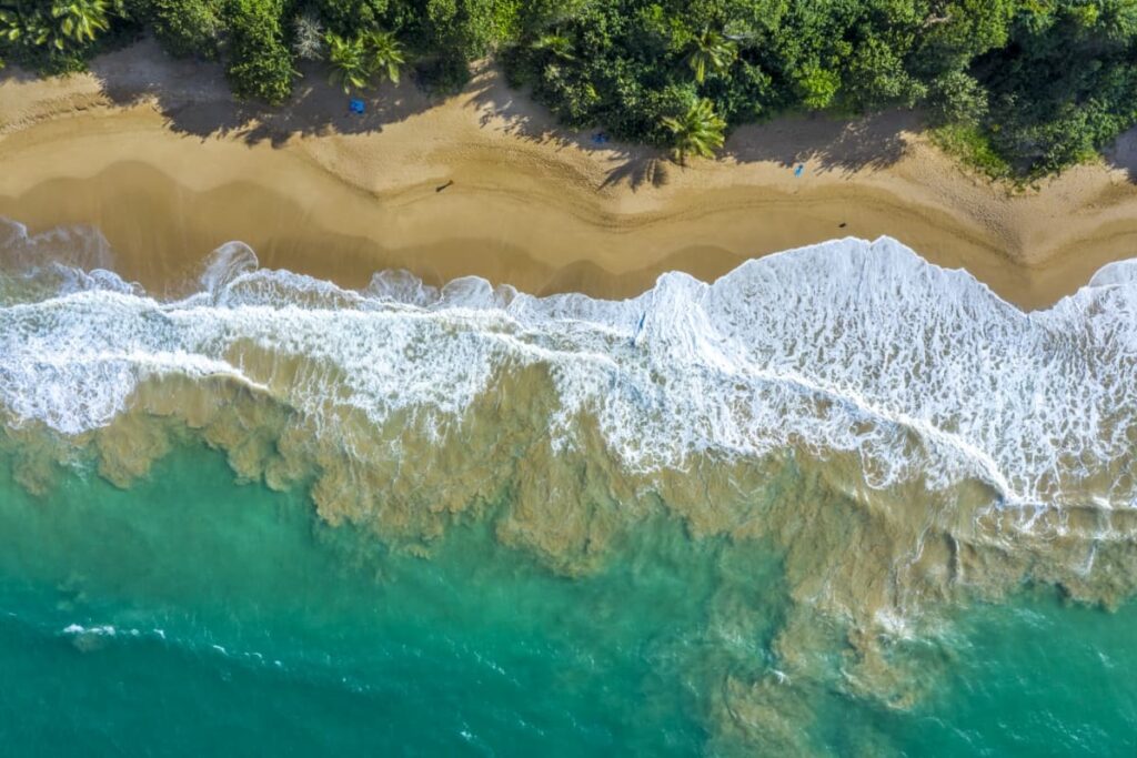 viaggio di nozze nelle isole di Guadalupa